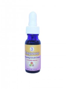 3C-Empower15x20